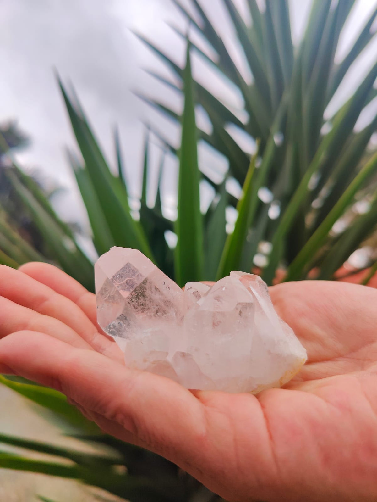 Ponta de Cristal