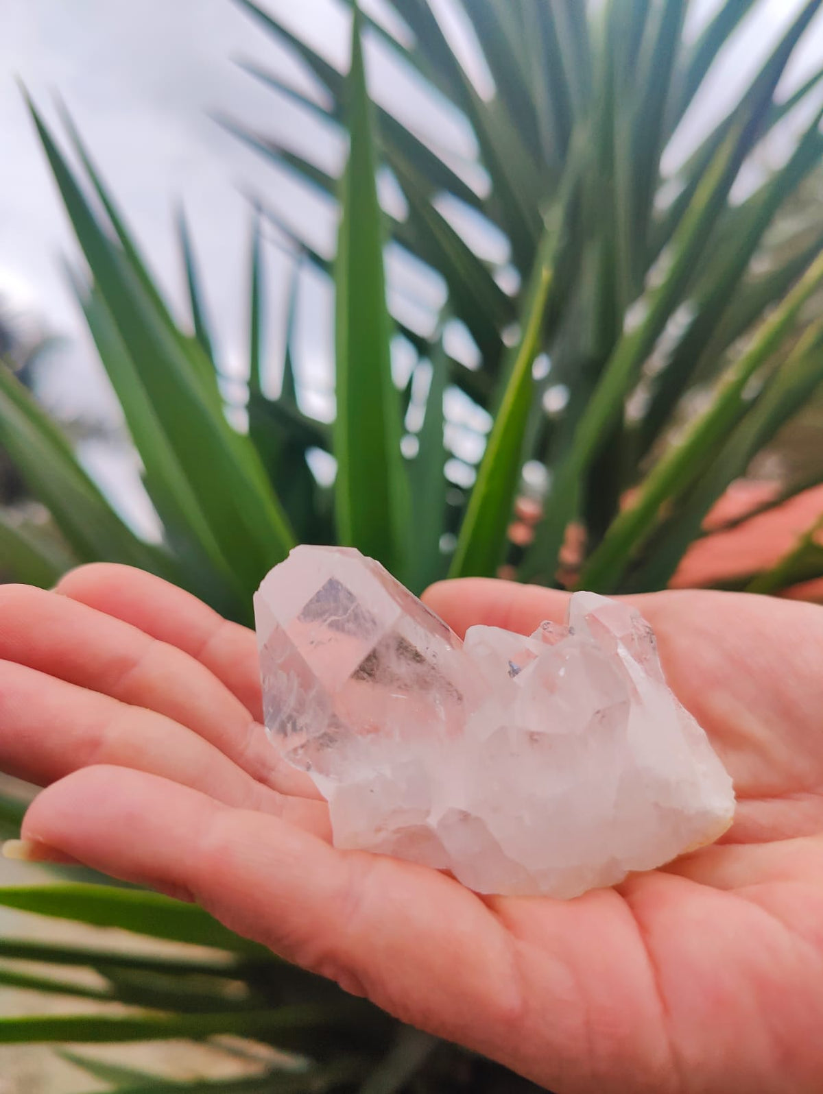 Ponta de Cristal