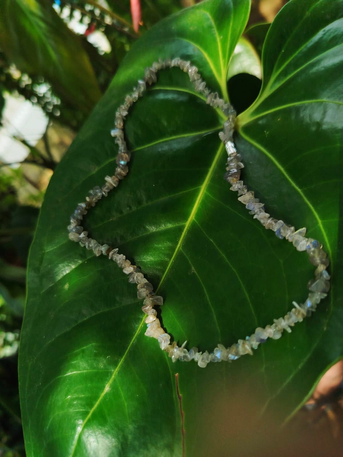 Choker de Labratorita - Folheado a prata