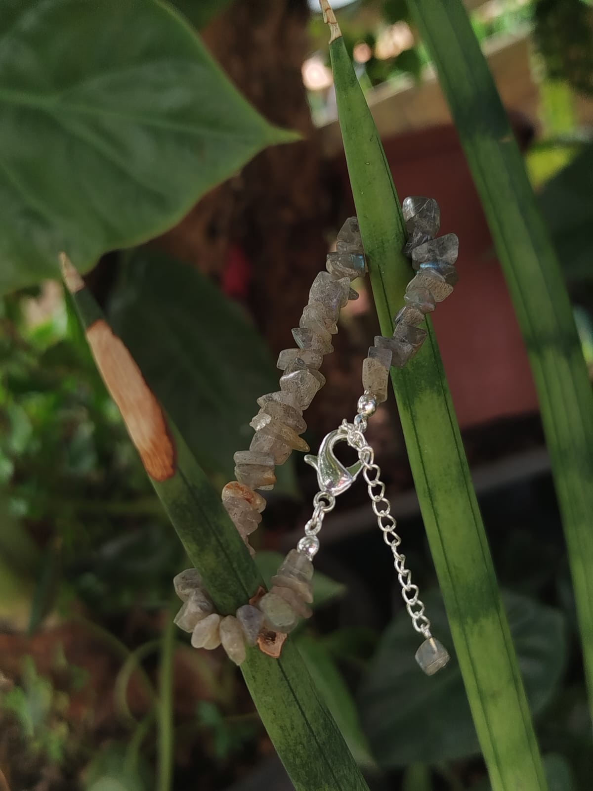 pulseira de Labradorita