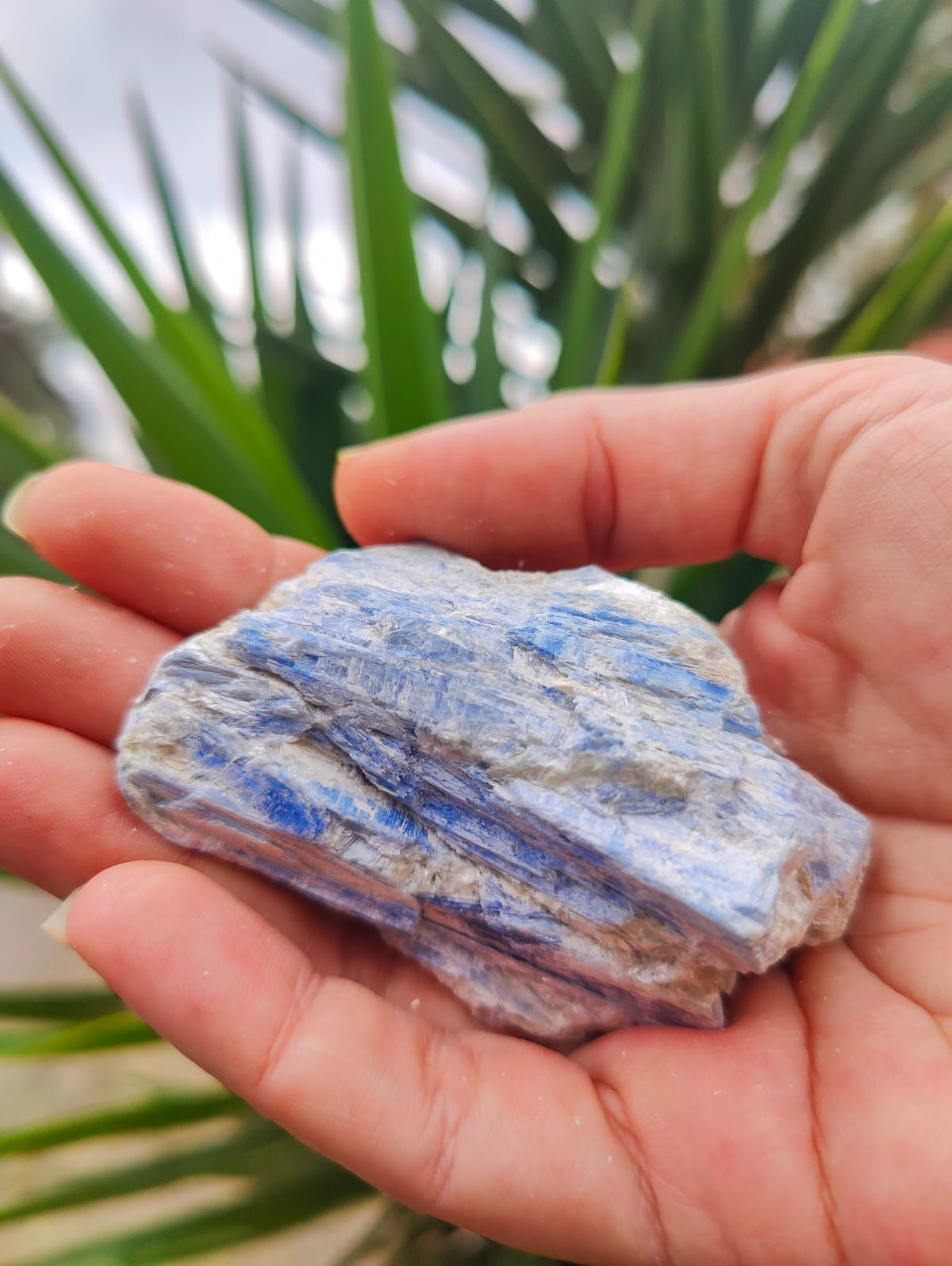 Cristal natural de Cianita azul